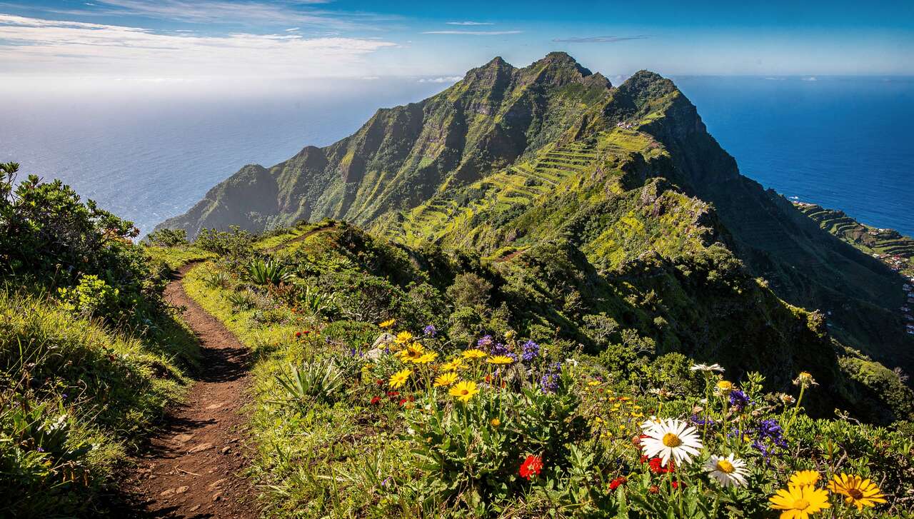 Activités de plein air et randonnées : l'aventure à portée de main Activités de plein air et randonnées : l'aventure à portée de main