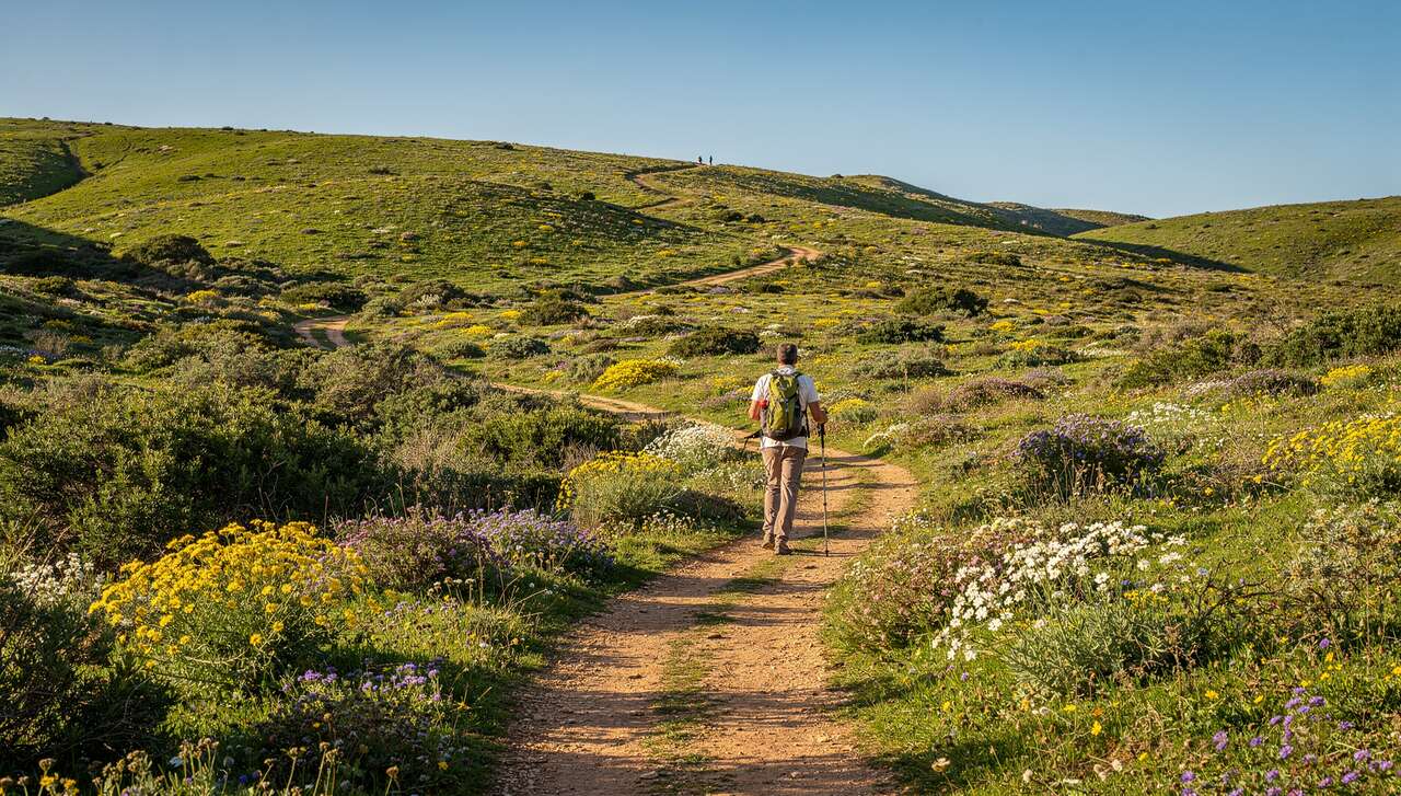 Paysages et biodiversité exceptionnels à explorer Paysages et biodiversité exceptionnels à explorer