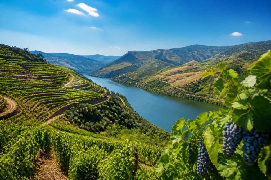 Quelle activité choisir dans la vallée du Douro, portugal ?